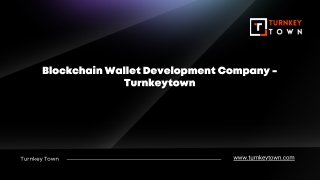 Blockchain Wallet Development Company - Turnkeytown