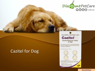 Buy Cazitel Flavoured Allwormer Tablets For Dogs