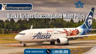 Alaska Airlines Unaccompanied Minor Policy