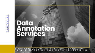 Data Annotation Services