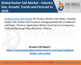 Global Kosher Salt Market