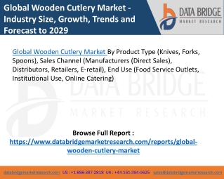 Global Wooden Cutlery Market