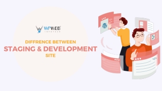 Diffrence Between Staging & Development Website - WPWeb Infotech