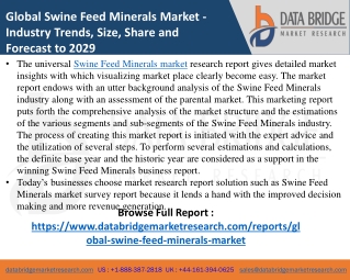 Swine Feed Minerals - Agricultural & Animal feed