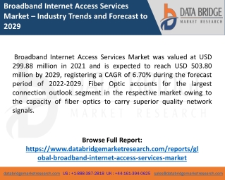 Broadband Internet Access Services Market