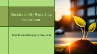 The changes brought up by the Sustainability Reporting Consultant