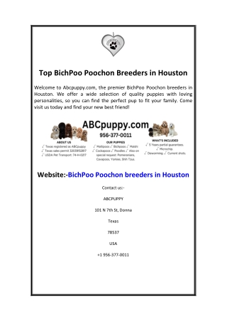 Top BichPoo Poochon Breeders in Houston