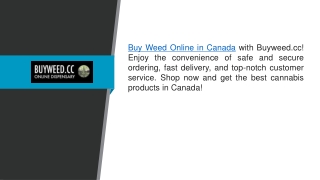 Buy Weed Online In Canada Buyweed.cc