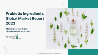 Global Prebiotic Ingredients Market Major Driving Factors And Forecast To 2032