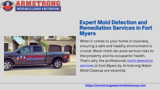 Professional Mold Detection Service in Fort Myers | Trusted Experts