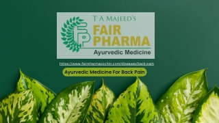 Ayurvedic Medicine For Back Pain