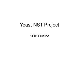 Yeast-NS1 Project