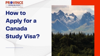 How to Apply for a Canada Study Visa