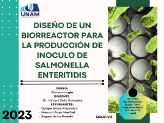 DISEÑO DE UN BIORREACTOR PARA LA PRODUCCION DE INOCULO SALMONEALL