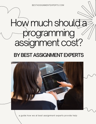 How much should a programming assignment cost