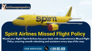 A Comprehensive Guide to Spirit Airlines Missed Flight Policy