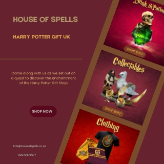 Harry Potter Gift UK | House of Spells