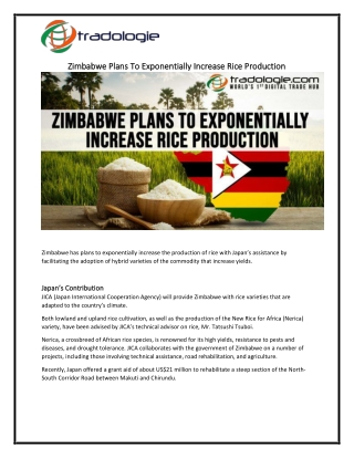 Zimbabwe Plans To Exponentially Increase Rice Production