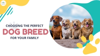 Choosing the Perfect Dog Breed for Your Family