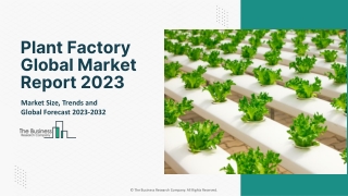 Plant Factory Market 2023 - By Size, Industry Analysis, Segmentation And Outlook