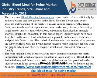 Blood Meal for Swine - Agricultural & Animal feed