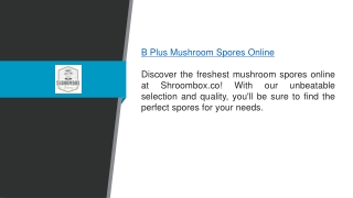 B Plus Mushroom Spores Online Shroombox.co