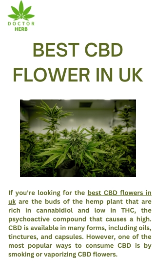 Best CBD flower in UK