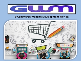 E-Commerce Website Development Florida