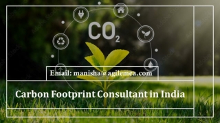 Benefits Organizations get by working with a carbon footprint consultant in India