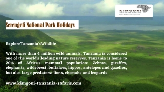 Serengeti National Park Holidays-Kimgoni-tanzania-safaris.com