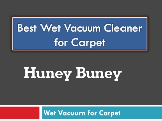 Best Wet Vacuum Cleaner for Carpet