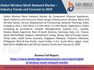 Global Wireless Mesh Network Market