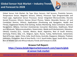 Global Sensor Hub Market