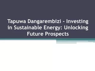 Tapuwa Dangarembizi - Investing in Sustainable Energy: Unlocking Future Prospect