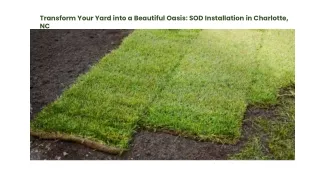 Transform Your Yard into a Beautiful Oasis SOD Installation in Charlotte, NC