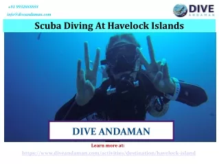 Exclusive Scuba Diving At Havelock Island