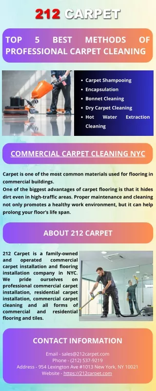 Top 5 Best Methods of Professional Carpet Cleaning