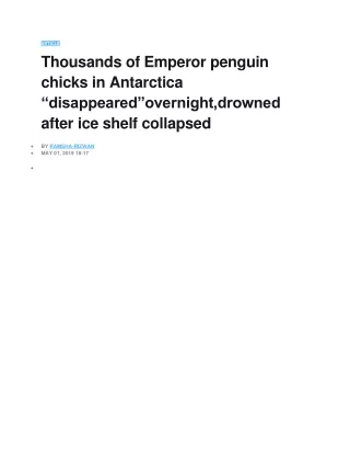 Thousands of Emperor penguin chicks in Antarctica disappeared overnight,drowned after ice shelf collapsed