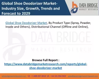 Global Shoe Deodorizer Market