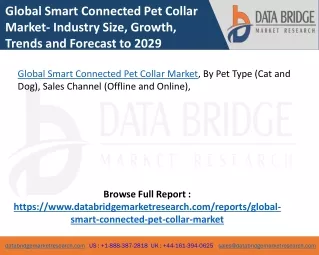 Global Smart Connected Pet Collar Market