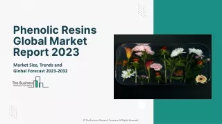 Phenolic Resins market