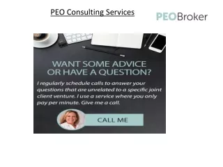 PEO Consulting Services