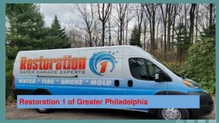 Mold Removal by Restoration 1 of Greater Philadelphia