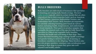 bully breeders