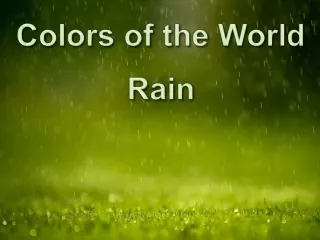 Colors of the World: Rain (Olga E.)