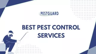 Best Pest Control Services