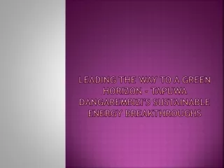 Leading the Way to a Green Horizon - Tapuwa Dangarembizi's Sustainable Energy Breakthroughs