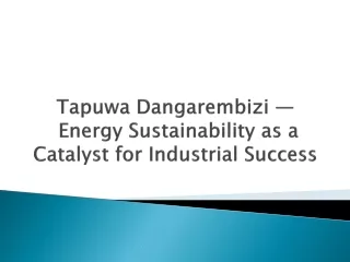 Tapuwa Dangarembizi — Energy Sustainability as a Catalyst for Industrial Success