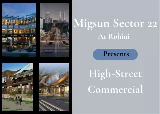 Migsun Sector 22 Rohini - Brochure