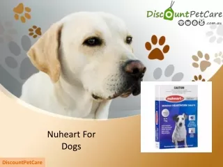 Nuheart for Dogs | Buy Nuheart Heartworm Tablets For Dogs